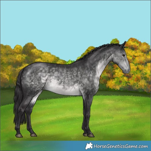 Horse Color:Platinum Buckskin Rabicano