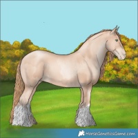 Horse Color:Gold Champagne Pearl Rabicano and Gold Champagne Pearl Rabicano