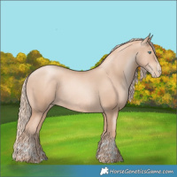 Horse Color:Gold Champagne Pearl Rabicano and Gold Champagne Pearl Rabicano