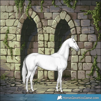Horse Color:Gray Bay 