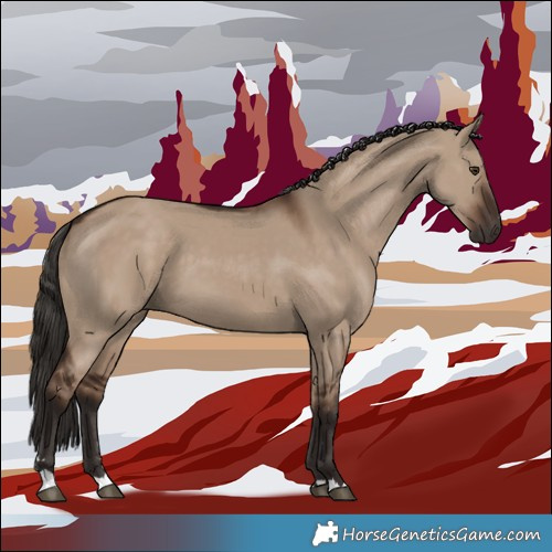 Horse Color:Liver Red Dun
