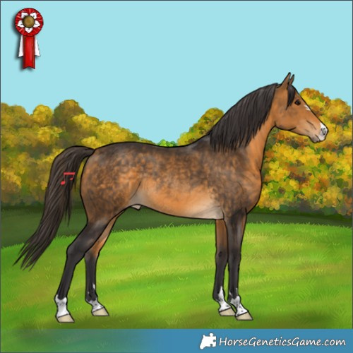 Horse Color:Buckskin Rabicano