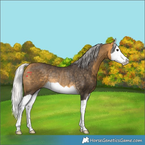 Horse Color:Silver Buckskin Splash Rabicano 