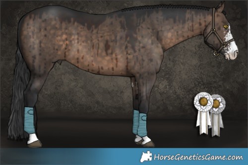 Horse Color:Brown Dun Sabino Brindle 