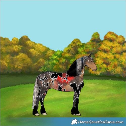 Horse Color:White Spotted Silver Smoky Black 