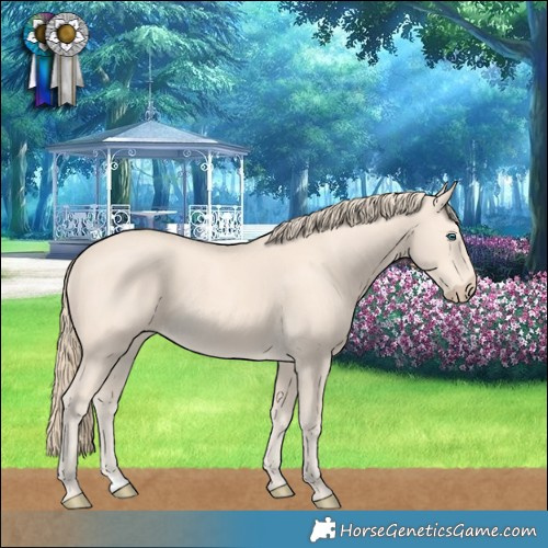 Horse Color:Perlino 