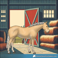 Horse Color:Palomino 
