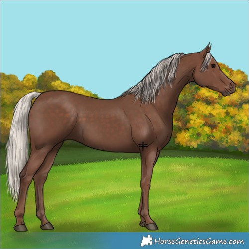 Horse Color:Silver Black 