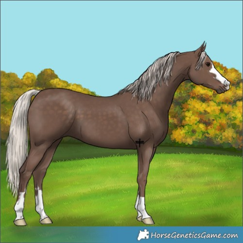 Horse Color:Silver Black 