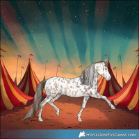 Horse Color:Amber Champagne Appaloosa 