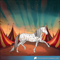 Horse Color:Amber Champagne Appaloosa 