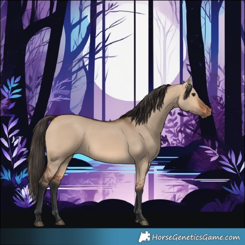 Horse Color:Bay Dun 