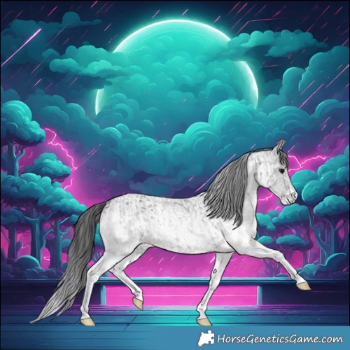 Horse Color:White Spotted Blue Roan Rabicano  and White Spotted Blue Roan Rabicano 