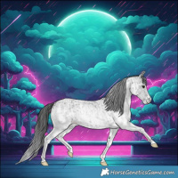 Horse Color:White Spotted Blue Roan Rabicano and White Spotted Blue Roan Rabicano