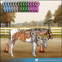 Horse Color:Chocolate Palomino Tobiano Snowflake Varnish 
