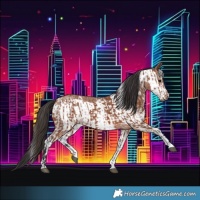 Horse Color:Bay Sabino Rabicano and Bay Sabino Frame Rabicano