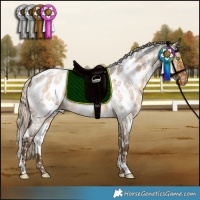 Horse Color:White Spotted Chocolate Palomino Roan Dun Appaloosa Brindle 
