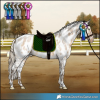 Horse Color:White Spotted Chocolate Palomino Roan Dun Appaloosa Brindle 