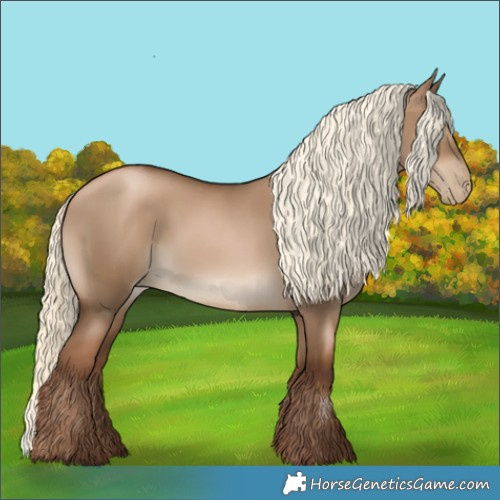 Horse Color:Gray Liver Red Dun Pearl Mushroom Rabicano 