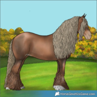 Horse Color:Gray Liver Chestnut Pearl Mushroom