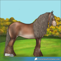 Horse Color:Gray Liver Chestnut Pearl Mushroom