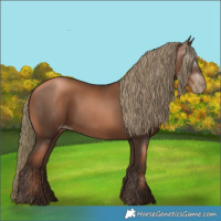 Horse Color:Gray Liver Chestnut Pearl Mushroom 