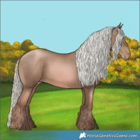 Horse Color:Liver Chestnut Pearl Mushroom