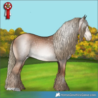 Horse Color:Gray Liver Chestnut Pearl Mushroom 