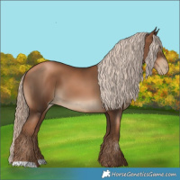 Horse Color:Gray Liver Chestnut Pearl Mushroom 