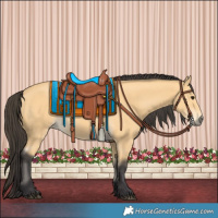 Horse Color:Buckskin 