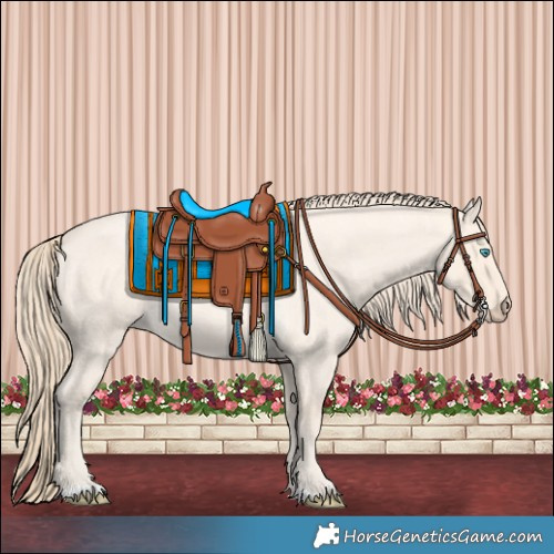 Horse Color:Perlino Roan 