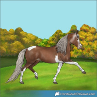 Horse Color:Gray Silver Black Pearl Tobiano 