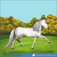Horse Color:Gray Silver Black Pearl Tobiano 