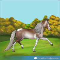 Horse Color:Gray Silver Black Pearl Tobiano