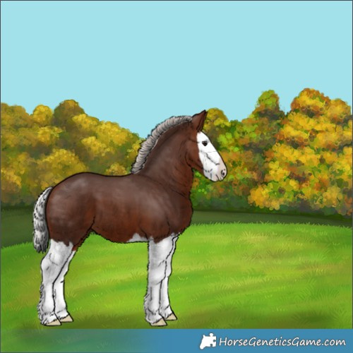 Horse Color:Silver Brown Splash 