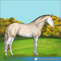 Horse Color:Buckskin Roan Dun Splash Varnish 