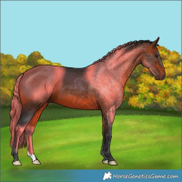 Horse Color:Brown 