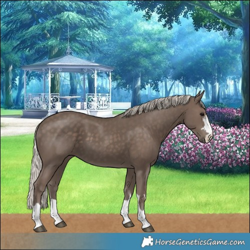 Horse Color:Silver Black 