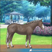 Horse Color:Silver Black 