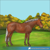 Horse Color:Silver Bay