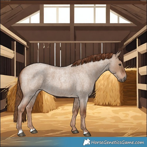 Horse Color:Red Dun Roan 