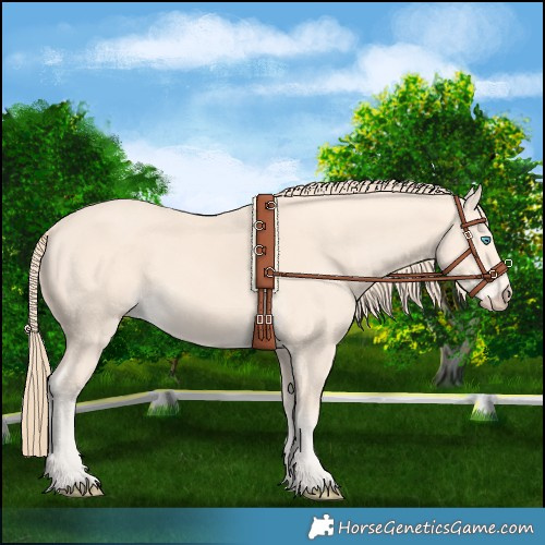 Horse Color:Perlino