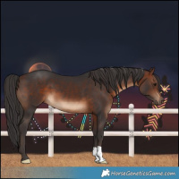 Horse Color:Brown 