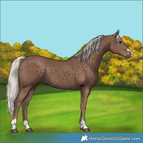Horse Color:Silver Black 