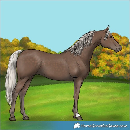 Horse Color:Silver Black 