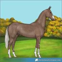 Horse Color:Silver Black 
