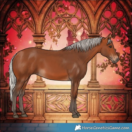 Horse Color:Silver Bay 