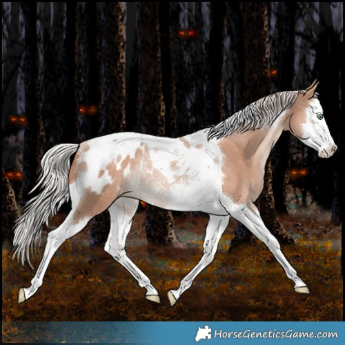 Horse Color:Silver Sable Champagne Splash Tobiano Appaloosa Rabicano 