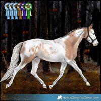 Horse Color:Silver Sable Champagne Splash Tobiano Appaloosa Rabicano