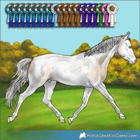 Horse Color:Silver Sable Champagne Dun Splash Tobiano Blanket